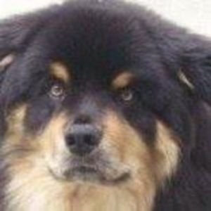 Meet your Posher, Del